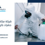 Pest control in Riyadh zadksa 1
