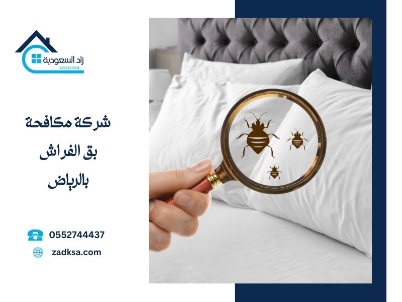 شركة مكافحة بق الفراش بالرياض