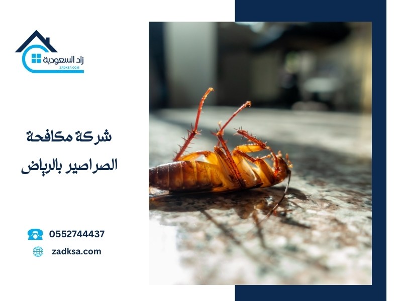 مكافحة الصراصير بالرياض