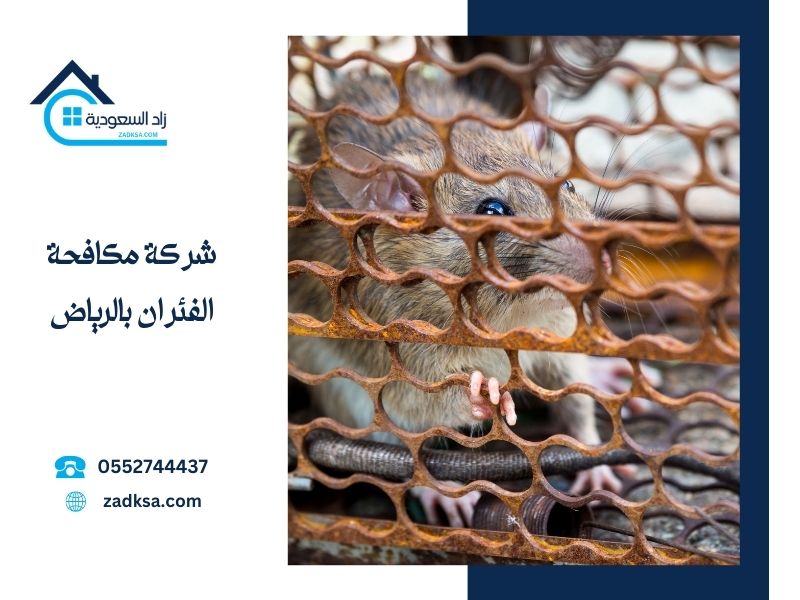 شركة مكافحة الفئران بالرياض
