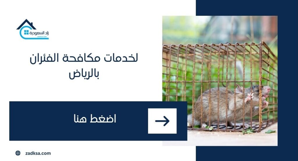 خدمات مكافحة الفئران بالرياض زاد السعودية