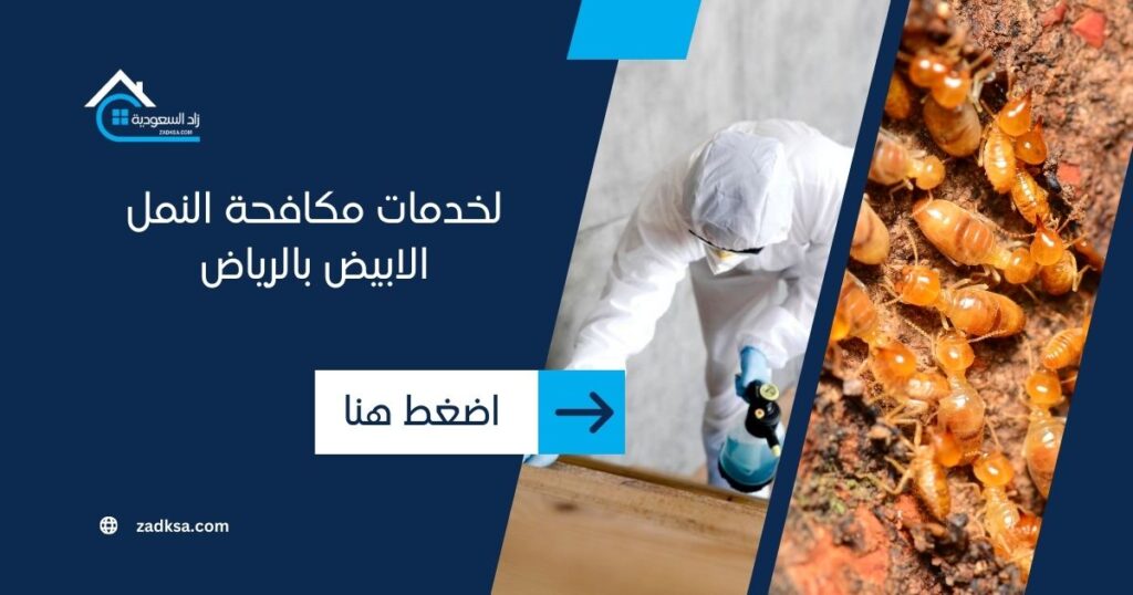 خدمات مكافحة النمل الابيض زاد السعودية