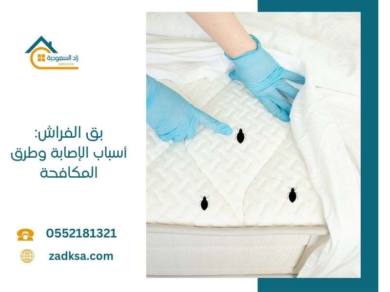 بق الفراش