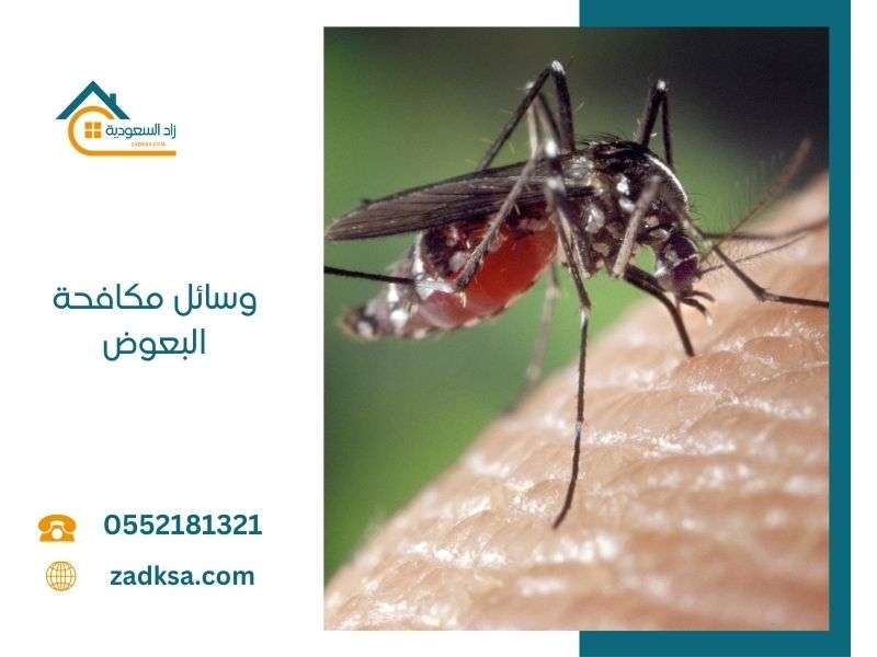 طرق مكافحة البعوض