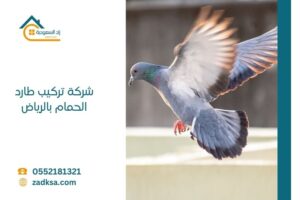 تركيب طارد الحمام بالرياض