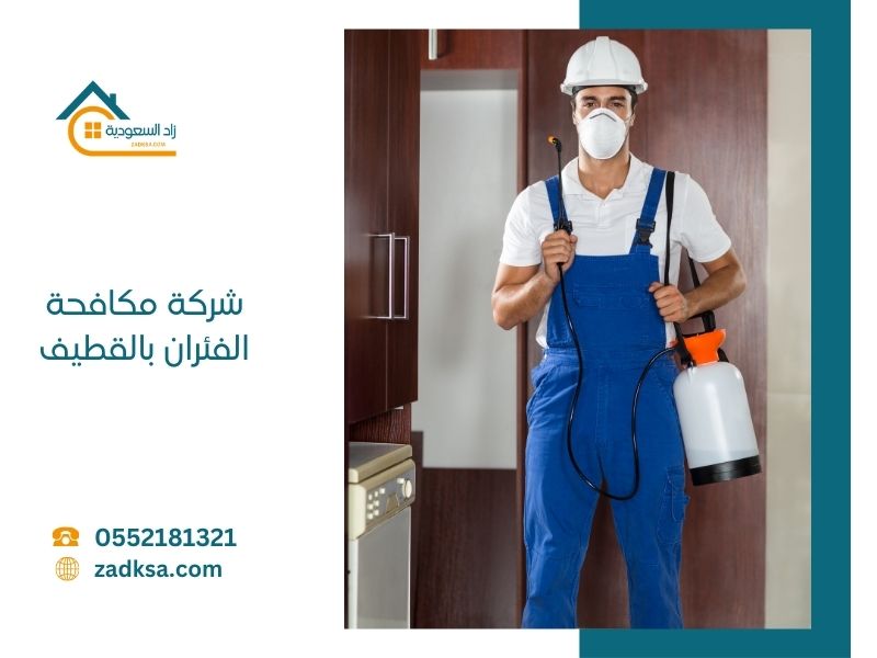 شركة مكافحة الفئران بالرياض