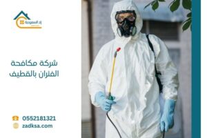 افضل شركة مكافحة الفئران بالقطيف والتي توفر ضمان علي الخدمة تصل الي ٦ شهور