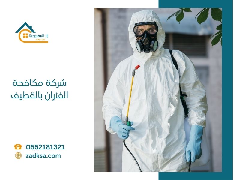 مكافحة الفئران بالرياض