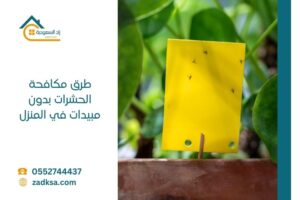 طرق مكافحة الحشرات بدون مبيدات في المنزل