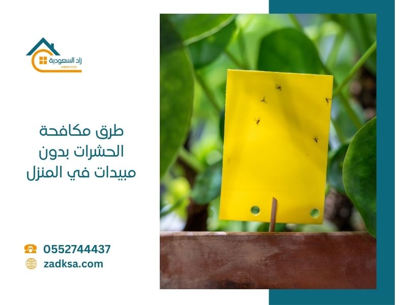 طرق مكافحة الحشرات بدون مبيدات في المنزل