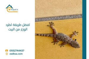 طريقة لطرد ومكافحة الوزغ من البيت