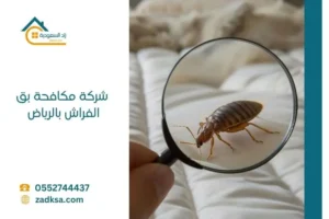 افضل شركة مكافحة بق الفراش بالرياض