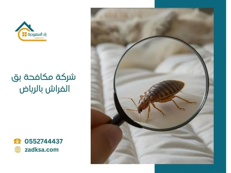 افضل شركة مكافحة بق الفراش بالرياض