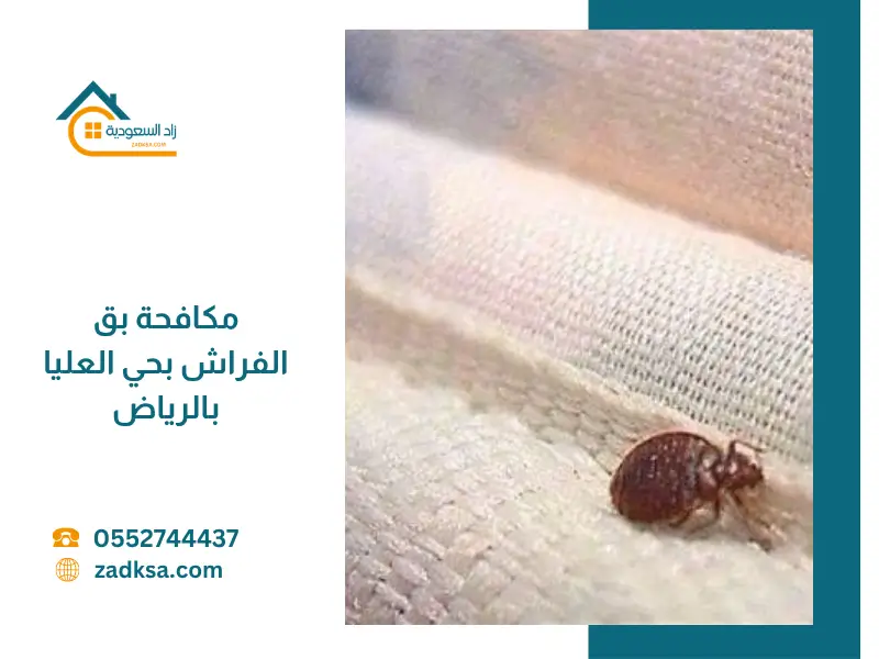 حشرة بق الفراش على المرتبة مع آثار انتشارها، توضح خطورة الإصابة بالبق داخل غرف النوم وضرورة مكافحته بشكل فعال في حي العليا بالرياض.