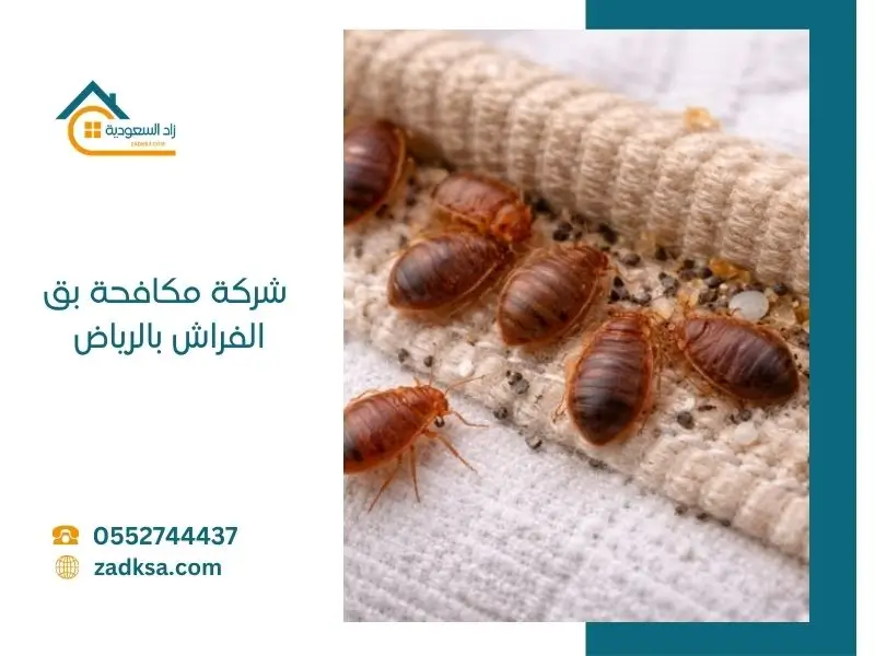 مكافحة بق الفراش بالرياض