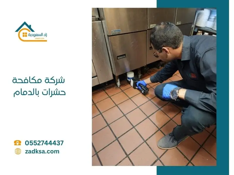 مبيدات آمنة ومعتمدة لمكافحة الحشرات بالدمام