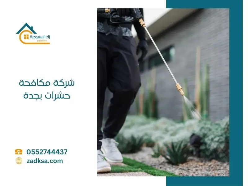 أفضل شركة مكافحة حشرات بجدة
