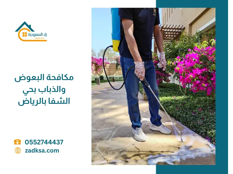 صورة توضح انتشار البعوض والذباب داخل المنزل قبل المكافحة، مع إبراز خطورتها في نقل الأمراض والحاجة لخدمة مكافحة فعالة بحي الشفا بالرياض.