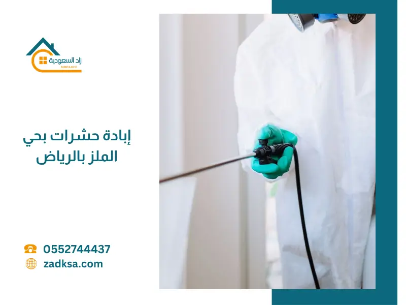 منزل نظيف وخالٍ من الحشرات بعد تنفيذ خدمة إبادة الحشرات بحي الملز بالرياض، يعكس بيئة صحية وآمنة خالية من الآفات.