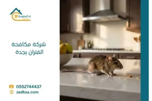 شركة مكافحة الفئران بجدة