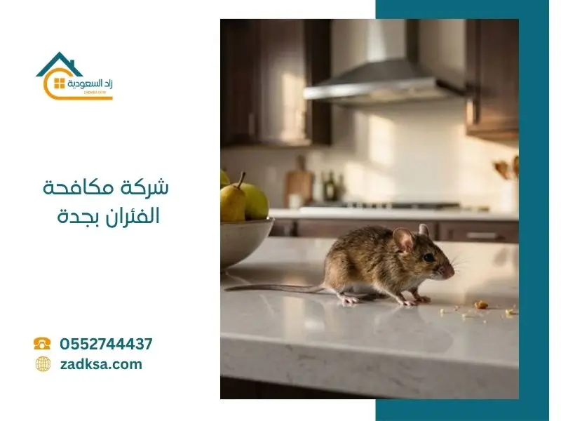 شركة مكافحة الفئران بجدة