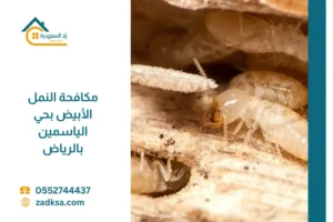 صورة توضح انتشار النمل الأبيض على الخشب داخل منزل بحي الياسمين بالرياض، مع إبراز الأضرار التي يسببها وضرورة مكافحته بسرعة.