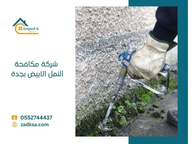 مكافحة النمل الابيض بجدة