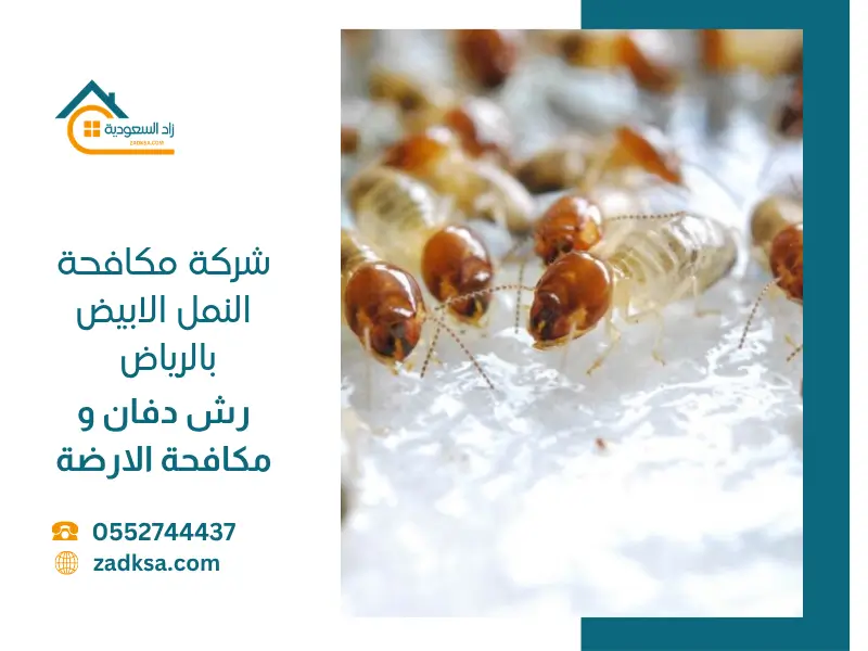 شركة رش دفان بالرياض