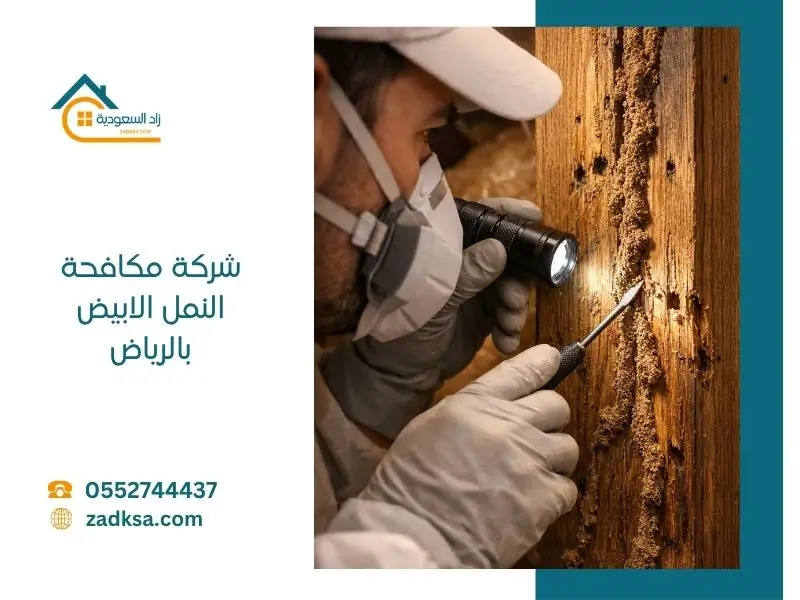شركة لمكافحة النمل الابيض بالرياض
