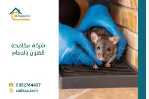 افضل شركة مكافحة الفئران في الدمام