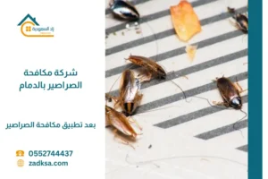 شركة مكافحة الصراصير بالدمام بعد تطبيق رش مبيدات الصراصير