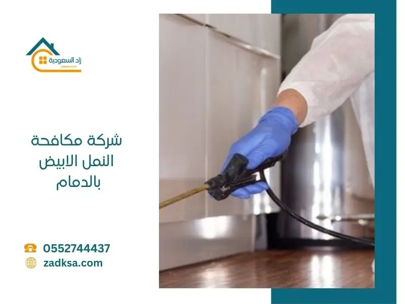 افضل شركة مكافحة النمل الابيض بالدمام