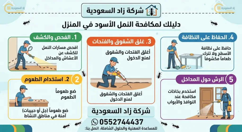 دليل مكافحة النمل الأسود في المنزل