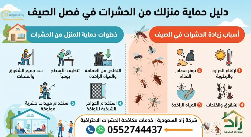 لماذا تزداد الحشرات في الصيف وكيف تحمي منزلك
