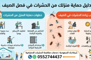 لماذا تزداد الحشرات في الصيف وكيف تحمي منزلك