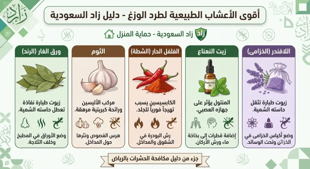أقوي الاعشاب الطبيعية لطرد الوزغ من المنزل
