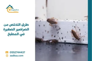 طرق التخلص من الصراصير الصغيرة في المطبخ