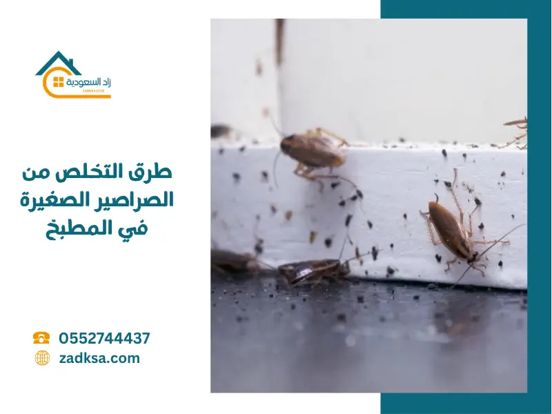 طرق التخلص من الصراصير الصغيرة في المطبخ