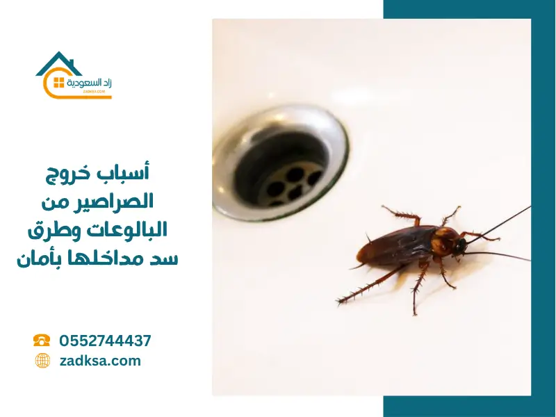 أسباب خروج الصراصير من البالوعات
