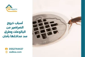 أسباب خروج الصراصير من البالوعات وطرق سد مداخلها بأمان