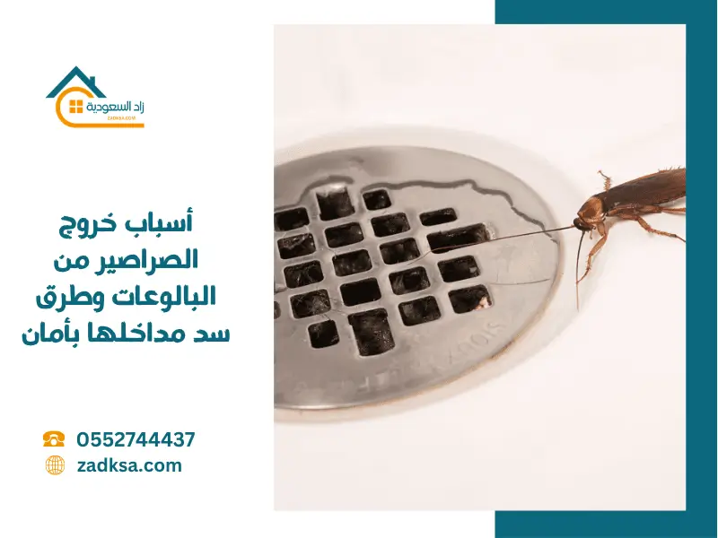 أسباب خروج الصراصير من البالوعات وطرق سد مداخلها بأمان